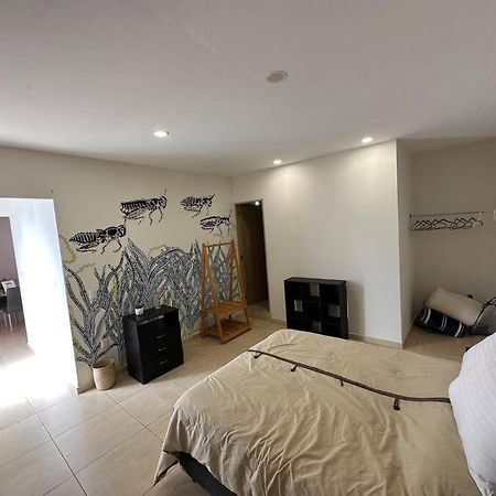 El Chapulin Apartment Oaxaca Exterior photo