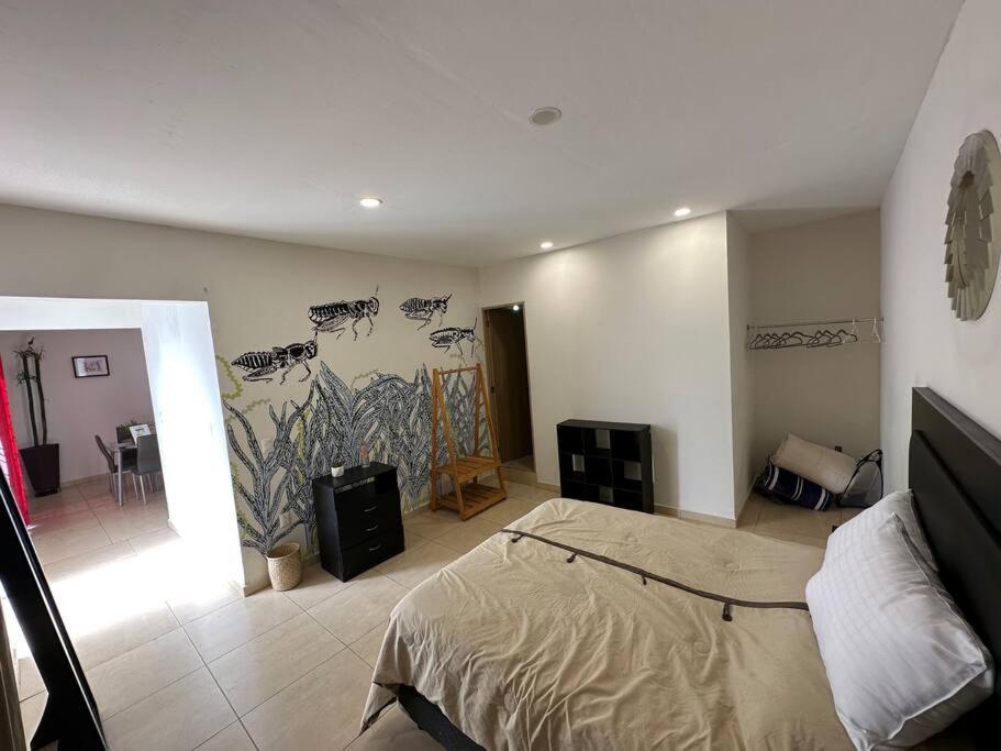 El Chapulin Apartment Oaxaca Exterior photo