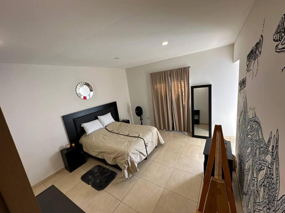 El Chapulin Apartment Oaxaca Exterior photo